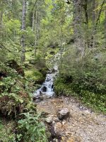 Wanderung zurück zum Vorderen Gosausee