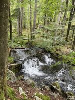 Wanderung zum Hinteren Langbathsee