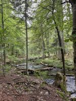 Wanderung zum Hinteren Langbathsee