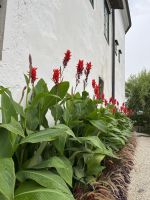 Schloss Ort