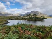 Connemara: Twelve Pines Island