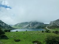 Covadonga_Lago Enol.jpg