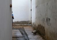 Versteckspiel mit Fotografen