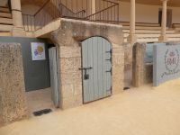 durch dieses Tor kommt der Stier