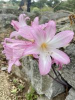 Tag 5 - Impressionen 