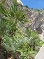 Bergwelt der Amalfiküste