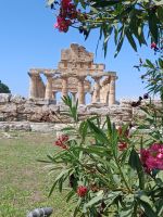 Tempel in Paestum