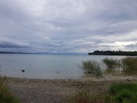 Blumeninsel Mainau (3)