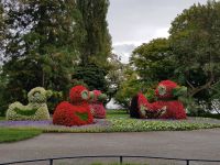 Blumeninsel Mainau (16)