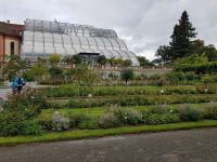 Blumeninsel Mainau (52)