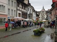 Stein am Rhein (14)