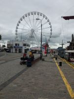 im Hafengelände Kolbergs