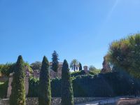 auf dem Wege vom Palatin-Hügel zum Kolosseum