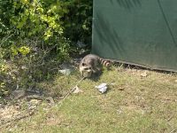 90C1BFB0-E438-481F-840D-A95BCE94FC4B