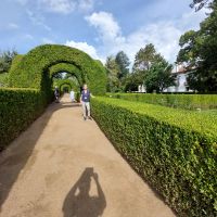 Mateuspalast Garten