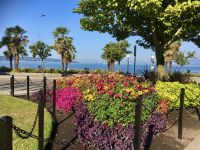 Am Strand der Englaender in Vancouver am vorletzten Tag