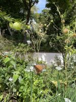 Esmeraldas Kräutergarten