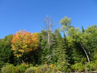 Indian Summer Kanada