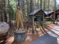5. Reisetag – Algonquin Park – Freiluftmuseum „Algonquin Logging Trail“