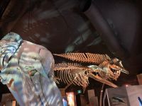 10. Reisetag – Marine Mammal Interpretation Centre in Tadoussac