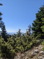 022 Dirfys Gebirge