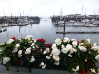 Blumenschmuck am Privathafen, der über eine eigene Schleuse verfügt, so dass er bei Ebbe nicht trockenfällt