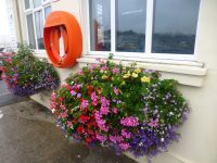 Selbst der Rettungsring fügt sich farblich in den üppigen Blumendekor ein