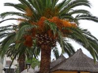Podgora: Rundgang