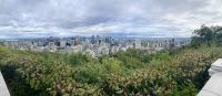Vom Mont Royal genießen wir einen herrlichen Blick über Montreal