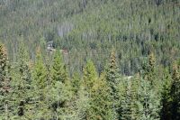 Anfang und Ende eines Güterzuges stecken in den beiden Spiraltunneln