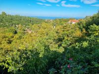 Wanderung am Fuße des Olymp - Litochoro (Enipeas-Schlucht)