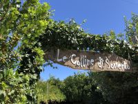 Mozzarella und Limonen