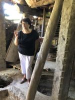 Rosa in der Olivenmühle