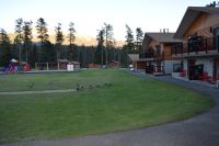 Becker´s Chalets in Jasper