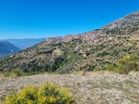 Arachova