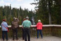 Alexander Falls bei Whistler