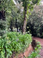 Levada do serra do Faial