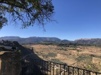 Ausblick