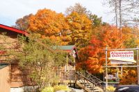 48 Kanu Tour Oxtongue Lake