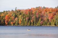 80 Indian Summer