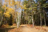 142 Wanderung am Lac Taureau
