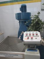 Ölmühle: Oliven werden von den Blättern getrennt und gewaschen