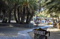 Palmenstrand von Vai