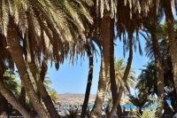 Palmenstrand von Vai