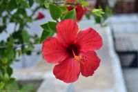 Sitia - südöstlichste Stadt Europas