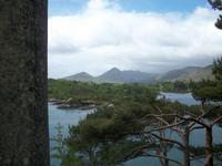 Garinish Island