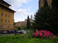 Siena