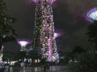 2. Reisetag – Abendspaziergang in Singapur – Gardens by the Bay