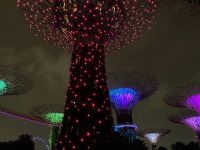 2. Reisetag – Abendspaziergang in Singapur – Gardens by the Bay
