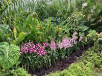 3. Reisetag – Stadtrundfahrt in Singapur – Botanischer Garten